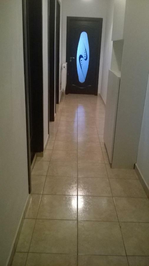 Alexander Apartment 부쿠레슈티 외부 사진